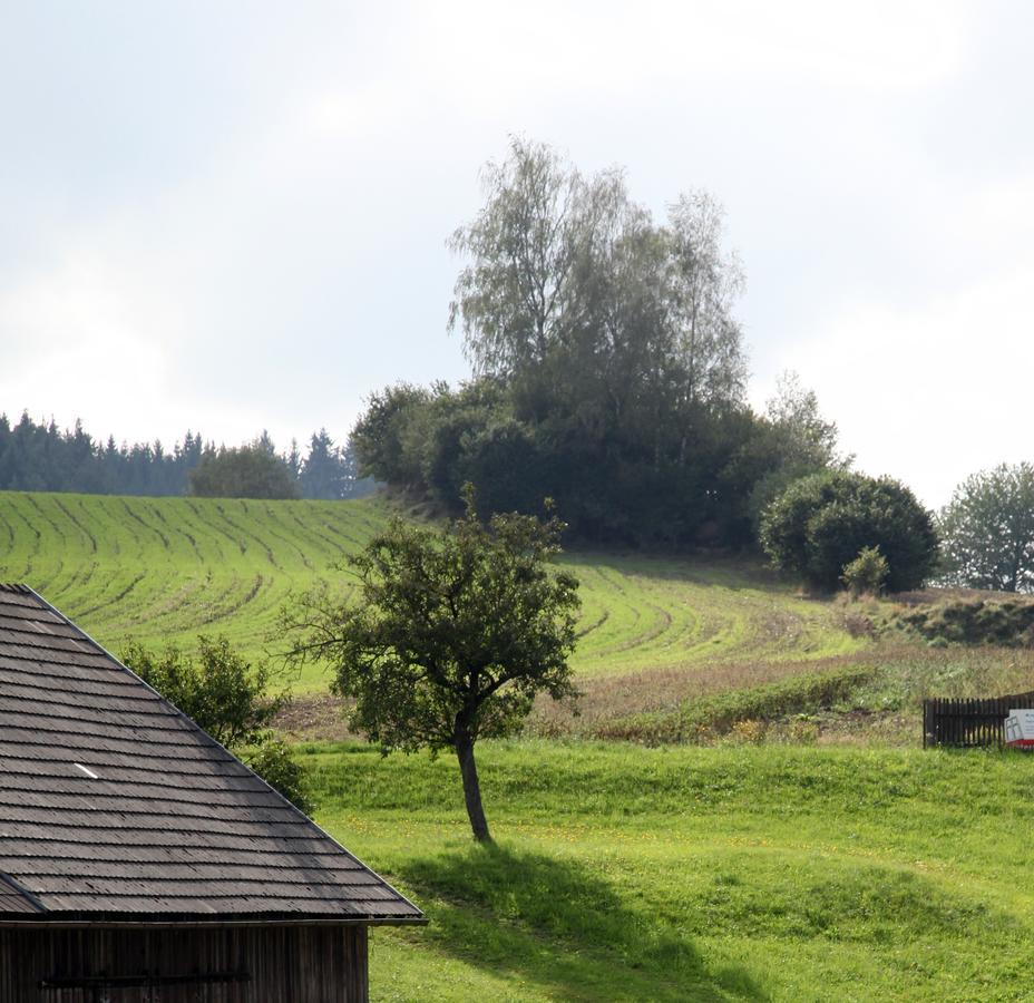 Ferienhof Stanzl Rappottenstein エクステリア 写真