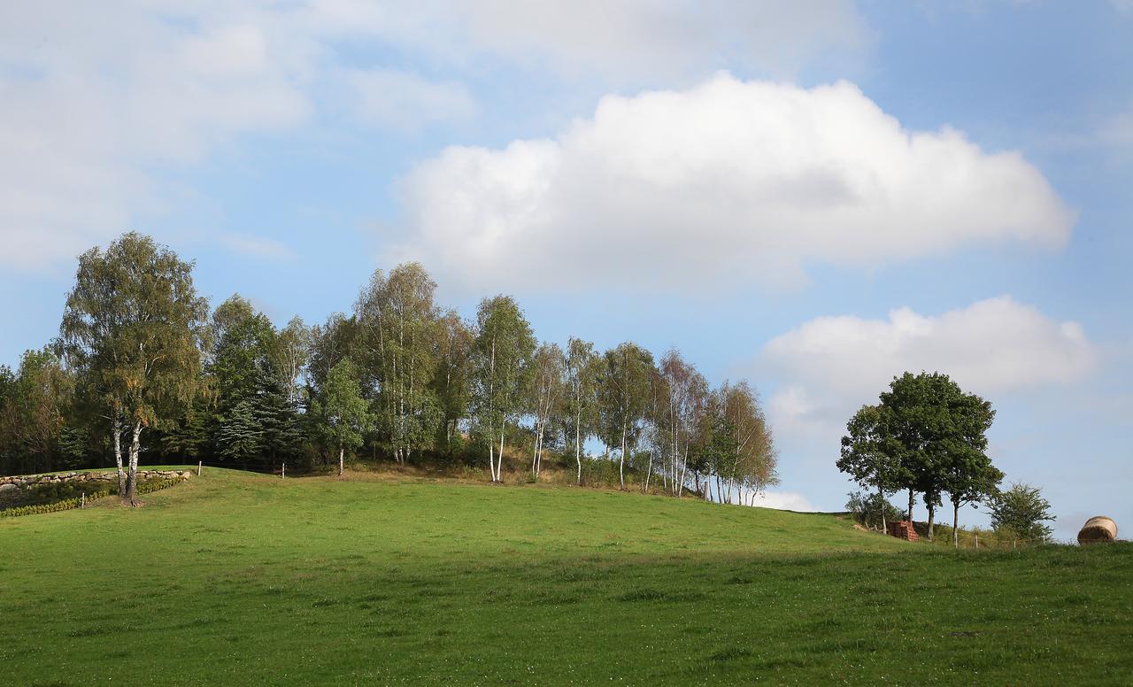 Ferienhof Stanzl Rappottenstein エクステリア 写真