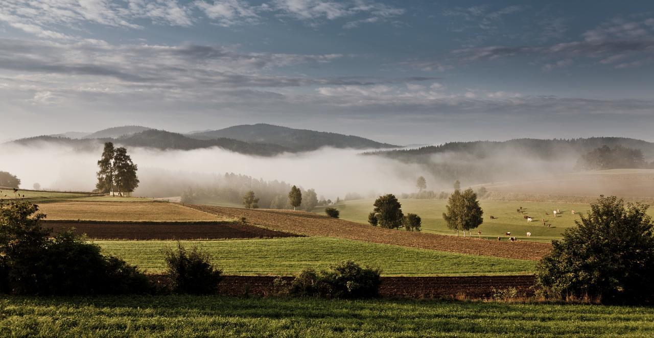 Ferienhof Stanzl Rappottenstein エクステリア 写真