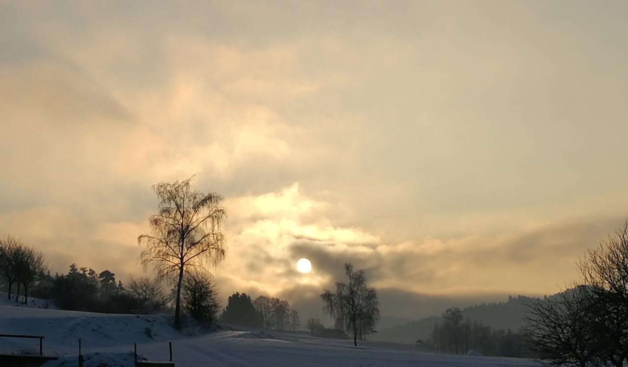 Ferienhof Stanzl Rappottenstein エクステリア 写真